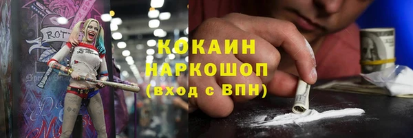 молекула духа Богданович