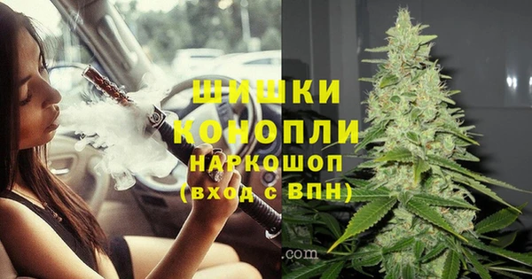марки lsd Белокуриха