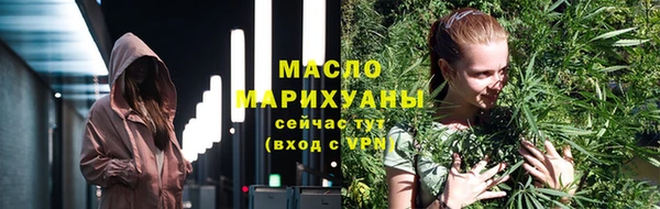 молекула духа Богданович