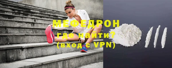 молекула духа Богданович